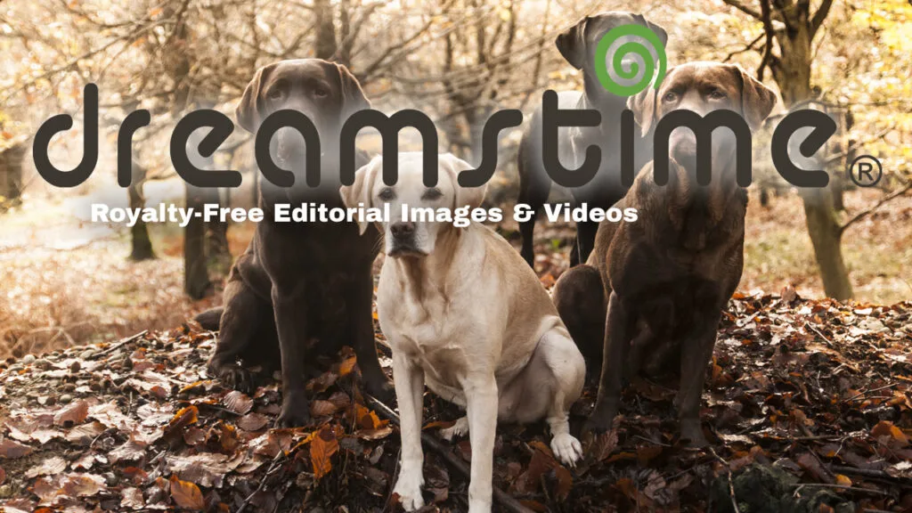 dreamstime Royalty FREE images